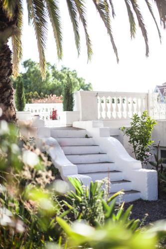 a set of stairs in a garden with palm trees at Palacio Astoreca in Valparaíso