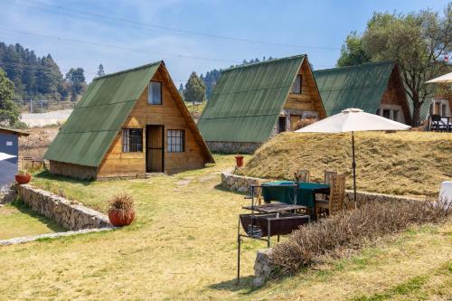 a house with a green roof and a building with grass at Bosque de Perlillas in Mexico City