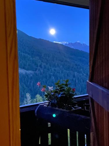 a view of the moon from a window with a plant at Maison Etoile - Pila n 0042 in Pila