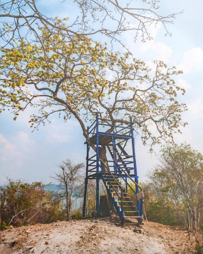a blue lifeguard tower on a hill with a tree at Las Luciernagas Hotel in Flores