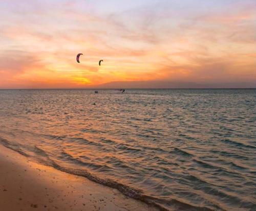 two birds flying over the ocean at sunset at La hacienda Ras Sedr in Raʼs Matarma