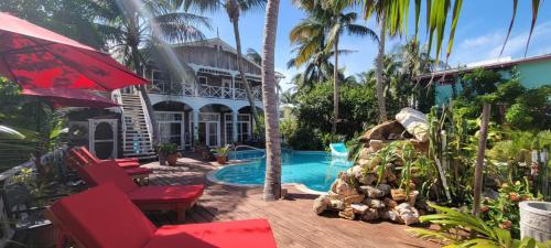 une maison avec une piscine et un complexe dans l'établissement Caye Caulker Boutique Guesthouse 3, à Caye Caulker