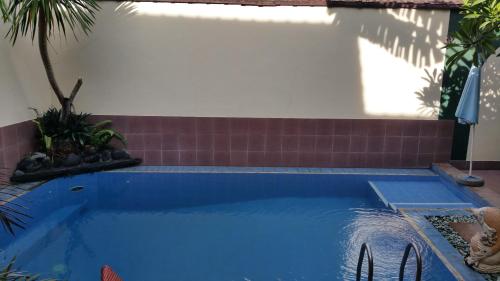 a blue swimming pool in a yard with plants at Ayu Taman Sari in Candidasa