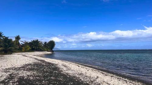 a beach with palm trees and the ocean at TAHITI - Mango Lodge Moana in Papara