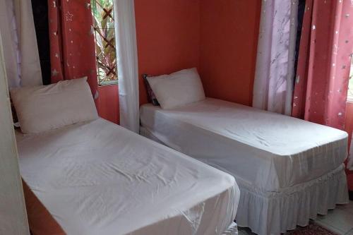 two twin beds in a room with a window at Humming Bird Inn-Homely and quiet in Old Harbour