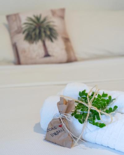 a small plant sitting on top of a table at Pousada Trilha do Mar in Praia do Frances