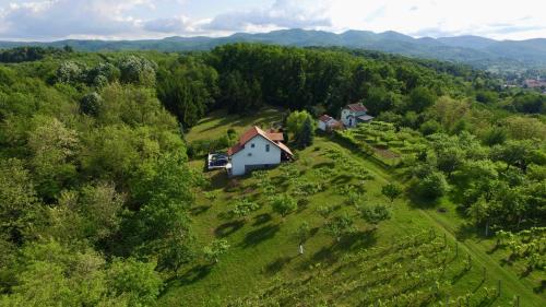 an aerial view of a house on a green field at Kuća za odmor "Villa Merkur" - Orahovica in Orahovica