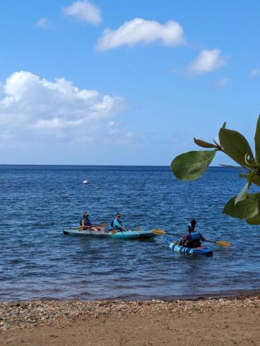 a group of people in kayaks in the water at Rainbow Heights Apartment, Soufriere in Soufrière