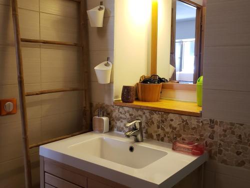 a bathroom with a white sink and a mirror at Appartement cosy 2 pièces, centre village, 4 pers, proche pistes et parc-luge - FR-1-515-216 in Villard-de-Lans