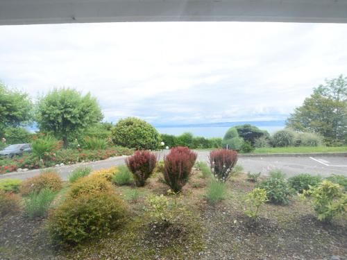 Bel appartement proche thermes avec balcon et animaux admis - FR-1-498-106