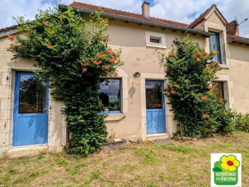 a house with two doors with flowers on it at Deux maisons berrichonnes avec jardin privatif et cour partagée, idéale pour les groupes - FR-1-591-617 in Thenay