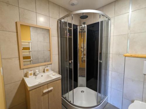 a bathroom with a shower and a sink at Chambre climatisée avec salle d'eau privative et accès jardin - FR-1-589-664 in Rehaupal