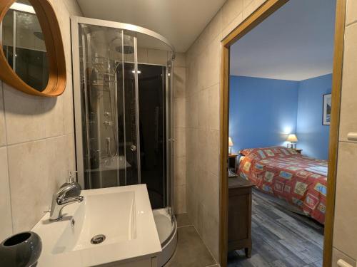Un baño con lavabo y ducha y una cama. en Charmante Chambre Myosotis avec Jardin et DVD - FR-1-589-665, en Rehaupal