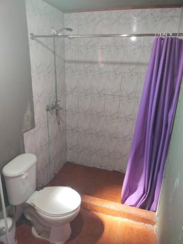 a bathroom with a toilet and a purple shower curtain at Una cómoda Cabaña para descansar in Tinguiririca