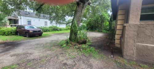 a tree in the dirt next to a house at Large, Central, Lovely & Cozy 4bed/2bath - House by Everbank Stadium JACKSONVILLE in Jacksonville