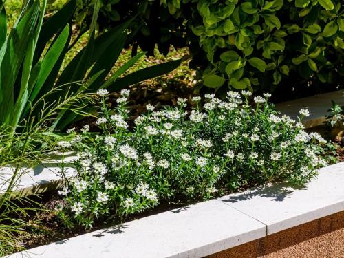 Apartment Veronika - One Bedroom Apartment with Terrace