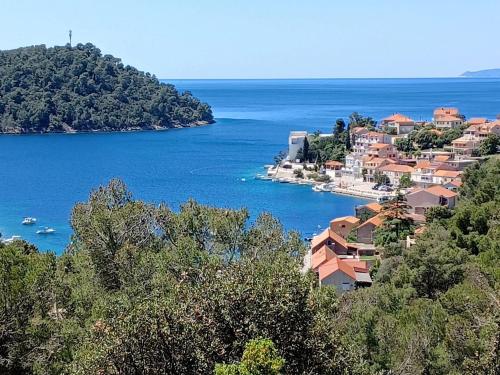 a view of a town and the ocean with houses at Bertie's Lodge - One Bedroom Apartment with Terrace and Sea View A2 in Smokvica