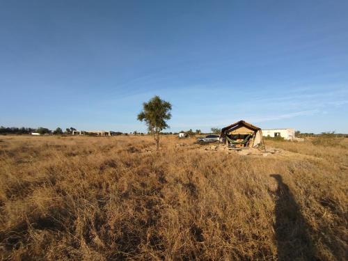 a shadow of a person standing in a field at Infinity Camp Grounds Maanzoni Backpackers in Kenplains