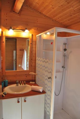 une salle de bain avec un lavabo et une douche avec un miroir dans l'établissement Lagrange Grand Bleu Vacances - Residence Les Ségalières, à Gramat