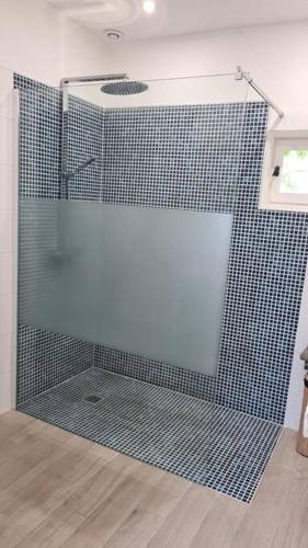 a shower with a glass door in a bathroom at Petit Chalet romantique en normandie in Le Pin-au-Haras