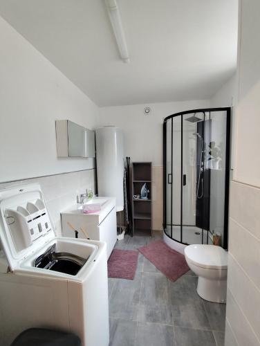 une salle de bain avec une douche, des toilettes et un lavabo dans l'établissement Appartement Rubrouck 1 chambre, à Rubrouck