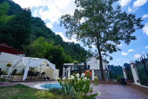 a backyard with a pool and a tree at 张家界喜屋民宿 in Zhangjiajie