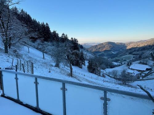 a view of a snow covered hill with trees and mountains at Ferienhaus Wendelinus mit Pool & Sauna in Hausach