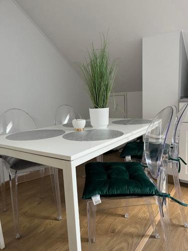 a dining room table with a plant on top of it at Szarów 414 in Szarów