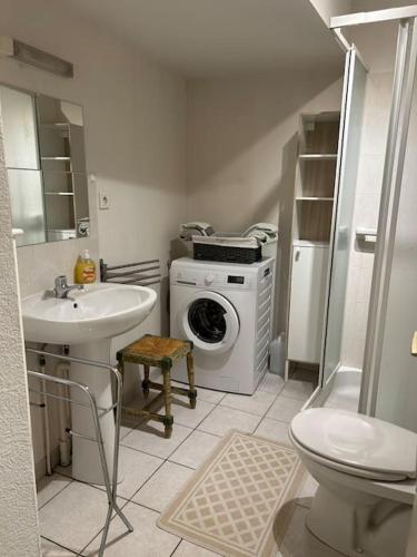 une salle de bain avec une machine à laver et un lavabo dans l'établissement Eden un jardin au cœur du vieux village, à Fontaine-lès-Dijon