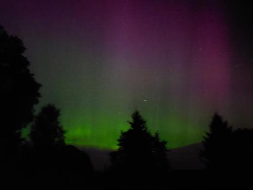 an aurora in the sky with trees in the foreground at Stuga Gasstorp Wifi in Hova
