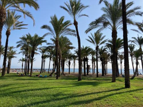 LA CARIHUELA Appartement vue mer