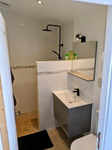 une salle de bain avec un lavabo, des toilettes et un miroir dans l'établissement Studio indépendant tout équipé au calme, à Saint-Jean-Pla-de-Corts