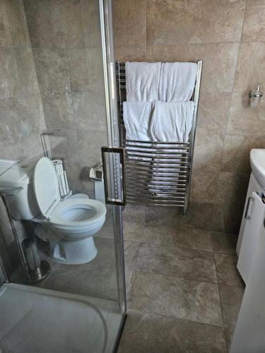 a bathroom with a toilet and a shower with towels at Riverview, Stylish Non Smoking Loft Ensuite 4 Rent in Erith