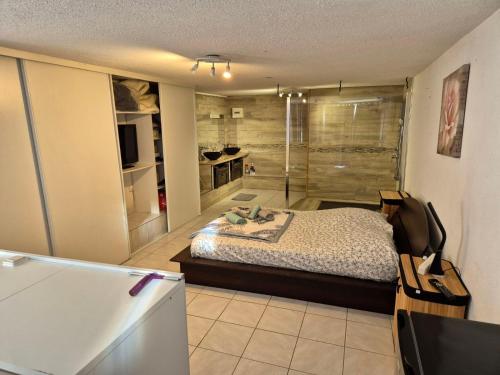 a bedroom with a bed and a glass shower at Mas la Rocaille in Clermont-lʼHérault