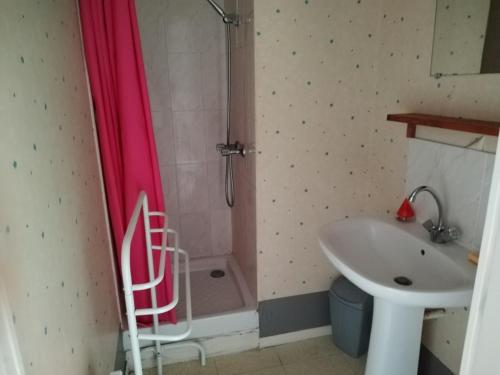 une douche avec rideau de douche rose à côté d'un lavabo dans l'établissement clos st paul, à Fort-Mahon-Plage