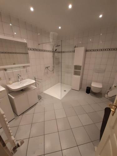 a bathroom with a shower and a sink and a toilet at Ferienwohnung Hof Postel in Hemmoor