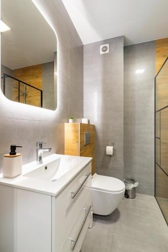a bathroom with a toilet and a sink and a mirror at ZABRZE Apartamenty Kościuszki 30 in Zabrze