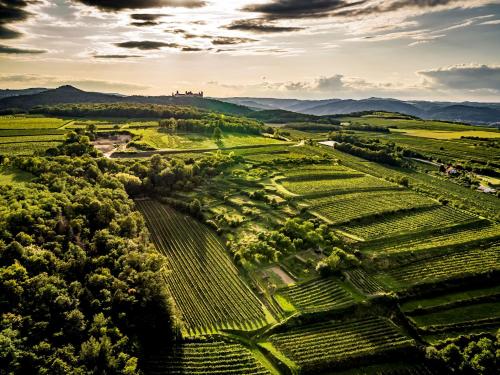 an aerial view of a farm with a castle in the background at Ferienwohnung Kremstal in Tiefenfucha