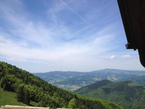 a view of a valley with trees and mountains at Black Forest Bike Hostel in Kirchzarten