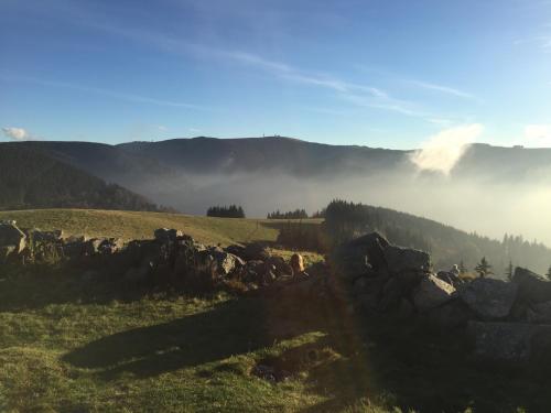 a grassy field with a pile of rocks and mountains at Black Forest Bike Hostel in Kirchzarten
