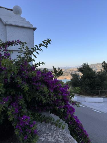 a bush of purple flowers next to a building at Finca Luca Oliva in Zahara de la Sierra