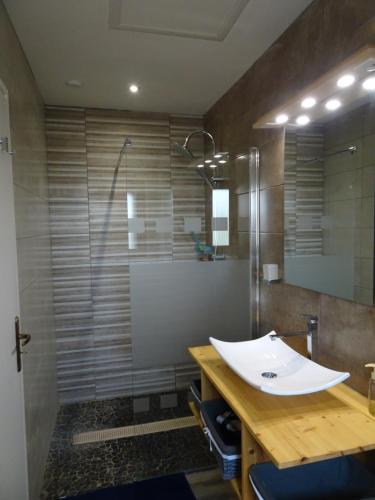 une salle de bain avec un lavabo et une douche dans l'établissement Angeline's Gîtes, à Mercurol