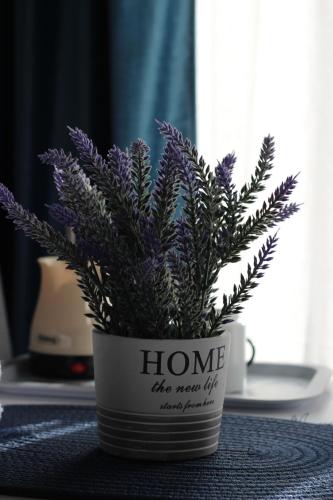 a plant in a flower pot with the words home the new life at Temački konaci in Pirot