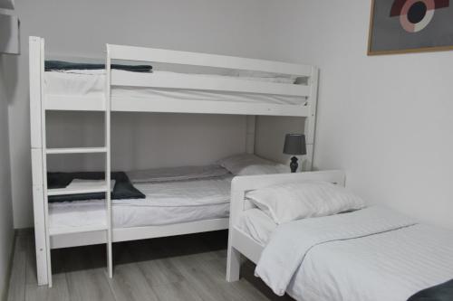 a bedroom with two bunk beds and a ladder at Temački konaci in Pirot