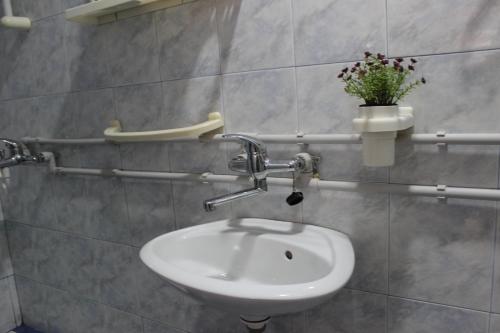 a bathroom with a white sink and a plant at Temački konaci in Pirot
