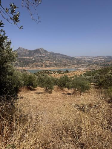 a view of a field with a lake in the distance at Finca Luca Oliva in Zahara de la Sierra