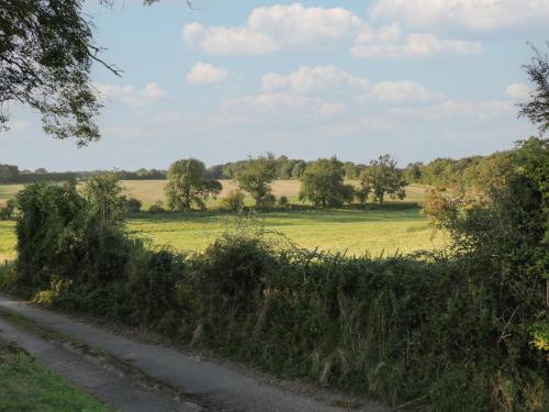 a field of grass with a dirt road at Hazel in Cirencester