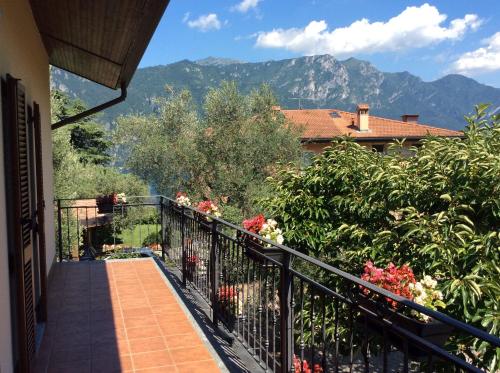 Villa Olivee – Photos 5