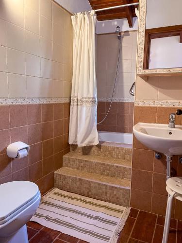 a bathroom with a shower and a toilet and a sink at CasArte in Frontera