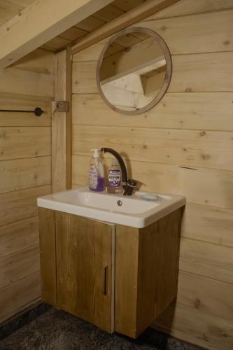 a bathroom with a sink and a mirror at Depani Doğa Evleri in Kise
